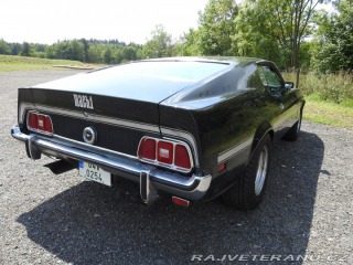 Ford Mustang Mach1 Fastback Cobra Jet 1973