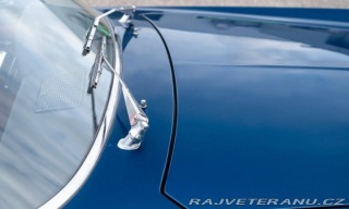 Fiat 2300 1962