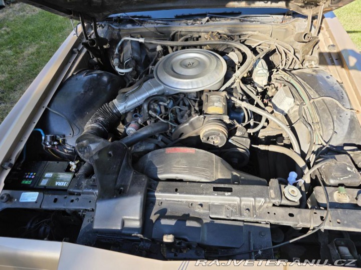 Lincoln Continental 65 D MARK V 1979