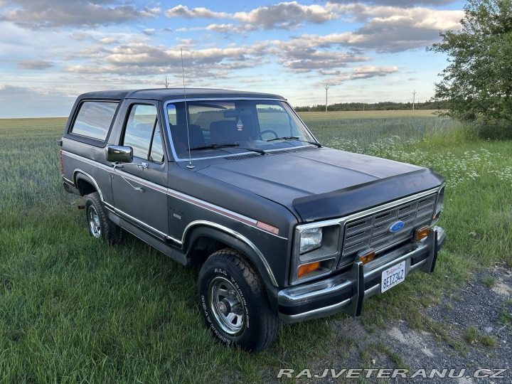 Ford Bronco XLT 1986