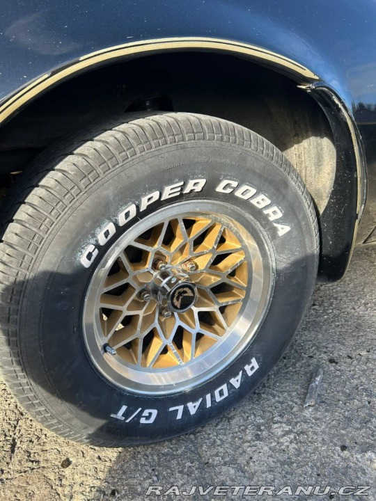 Pontiac Trans Am  1978