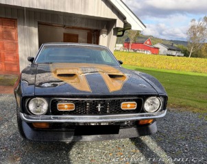 Ford Mustang Mach 1 1971