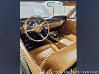 Ford Mustang Fastback 390 GT 1967