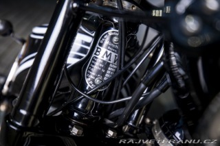BMW R 42 (DE doklady) 1927