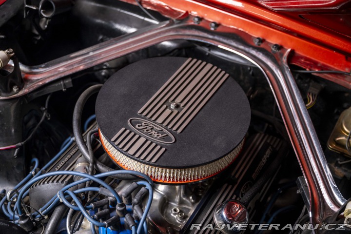 Ford Mustang Fastback 1966