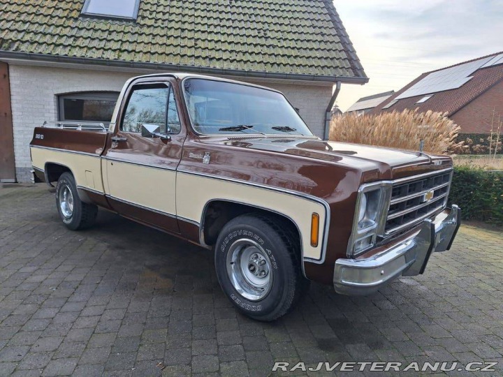 Chevrolet Ostatní modely C10 Chevy Shortbed 1979