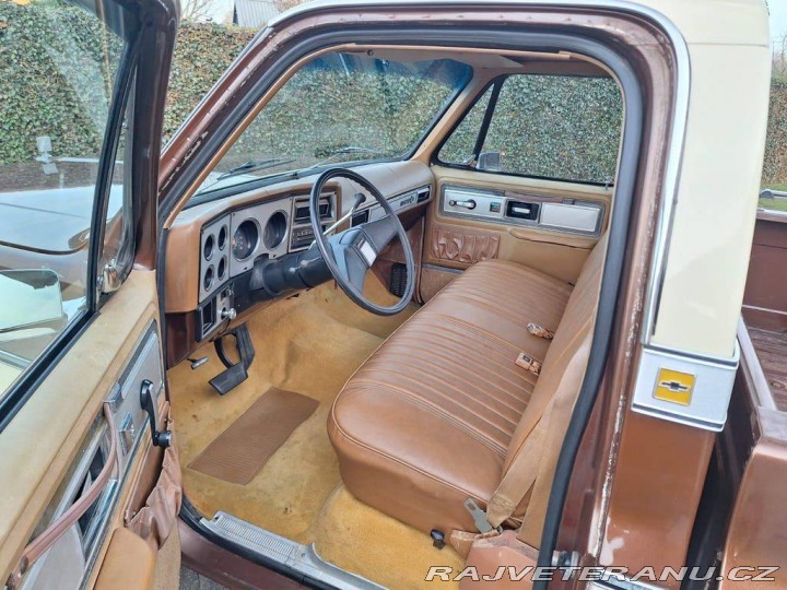 Chevrolet Ostatní modely C10 Chevy Shortbed 1979