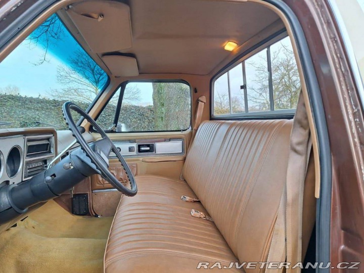 Chevrolet Ostatní modely C10 Chevy Shortbed 1979