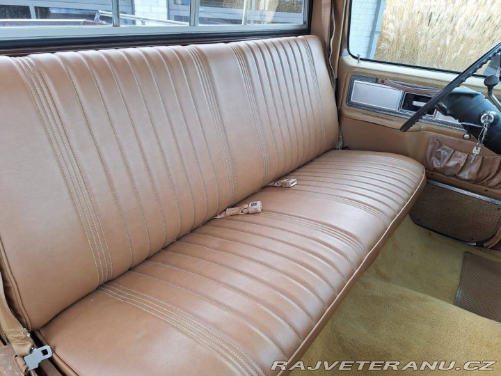 Chevrolet Ostatní modely C10 Chevy Shortbed 1979