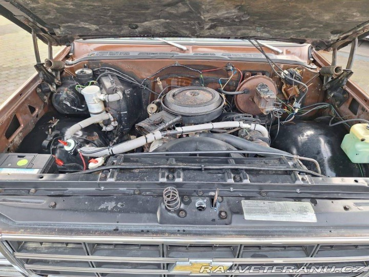 Chevrolet Ostatní modely C10 Chevy Shortbed 1979