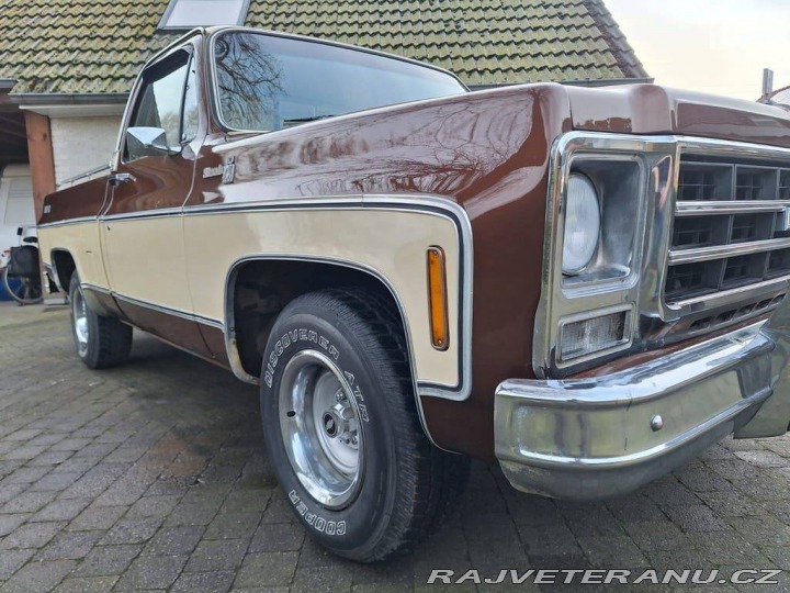 Chevrolet Ostatní modely C10 Chevy Shortbed 1979