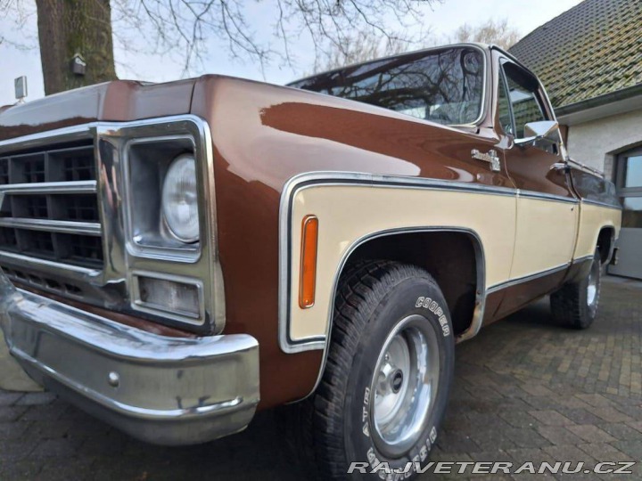 Chevrolet Ostatní modely C10 Chevy Shortbed 1979