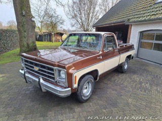 Chevrolet Ostatní modely C10 Chevy Shortbed 1979