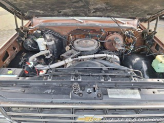 Chevrolet Ostatní modely C10 Chevy Shortbed 1979