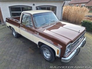 Chevrolet Ostatní modely C10 Chevy Shortbed 1979