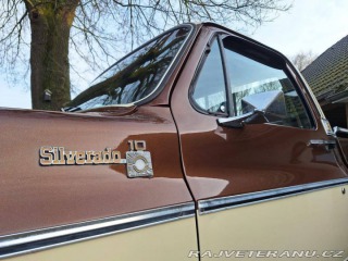 Chevrolet Ostatní modely C10 Chevy Shortbed 1979
