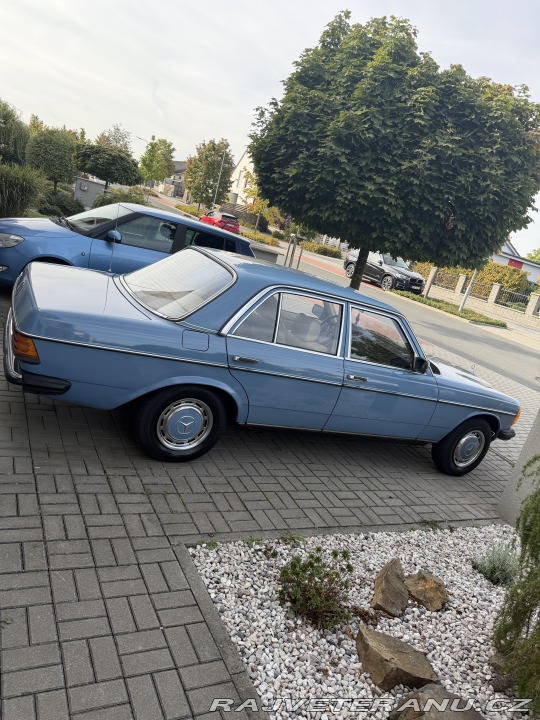 Mercedes-Benz 200 W123 1981