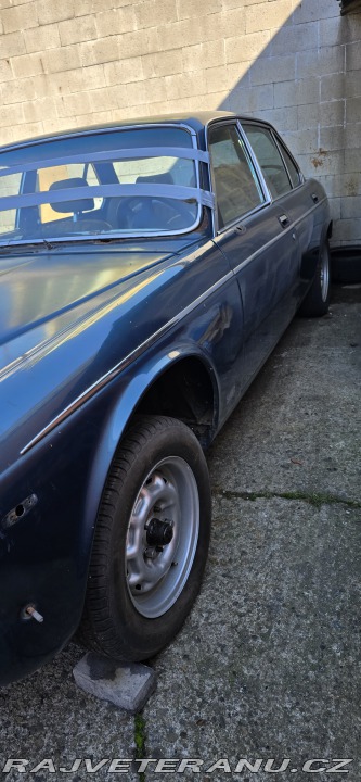 Jaguar XJ XJ12 serie 3 1981