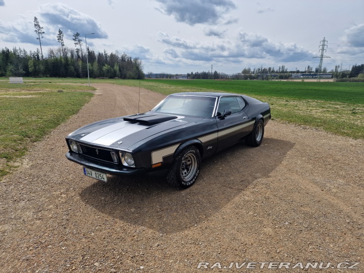 Ford Mustang Mach1 Fastback Cobra Jet 1973