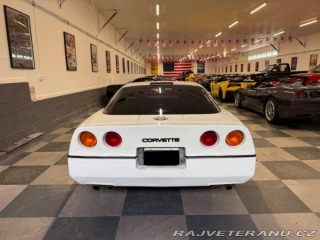 Chevrolet Corvette C4 Cross-Fire 1984