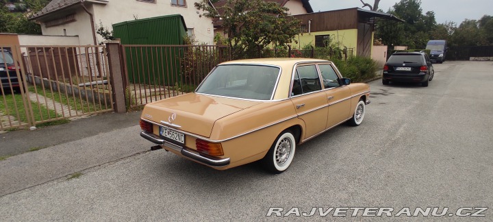 Mercedes-Benz 220 W115 1972