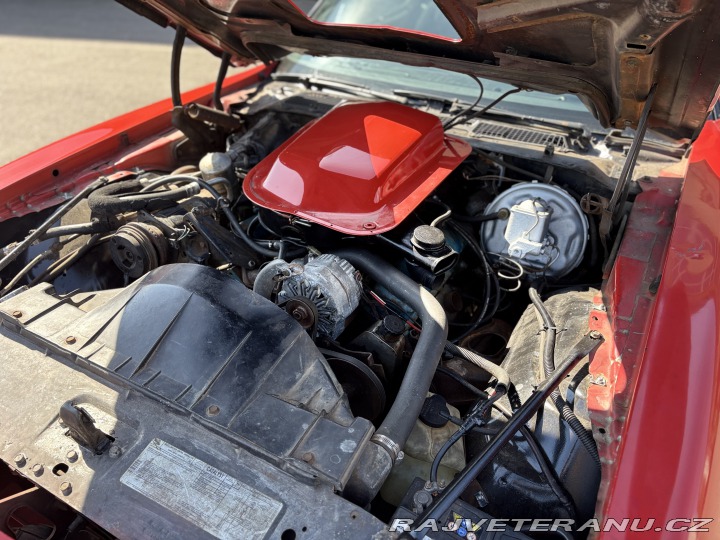 Pontiac Trans Am 1979