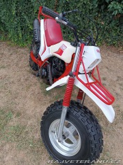 Yamaha Ostatní modely BW 200 BIG WHEEL 1985 1985