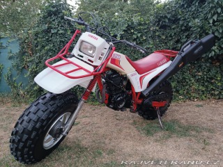 Yamaha Ostatní modely BW 200 BIG WHEEL 1985 1985