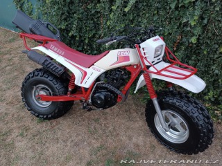 Yamaha Ostatní modely BW 200 BIG WHEEL 1985 1985