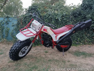 Yamaha Ostatní modely BW 200 BIG WHEEL 1985 1985