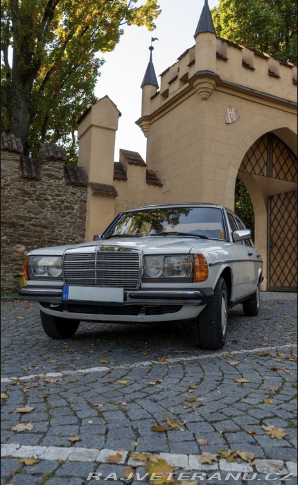 Mercedes-Benz Ostatní modely Mercedes benz w123 200