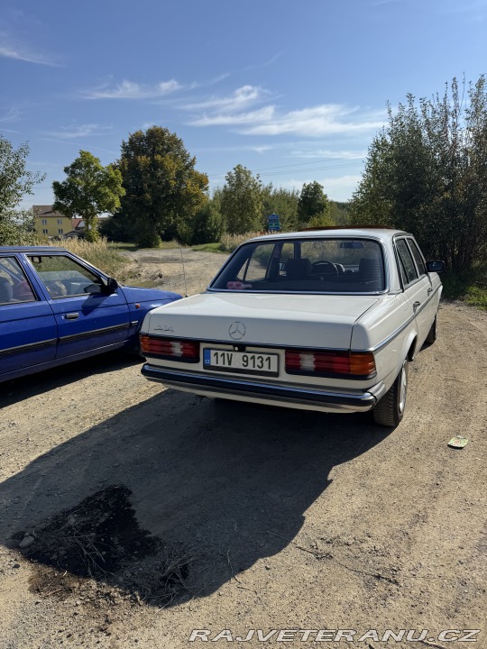Mercedes-Benz 200 w123 1982