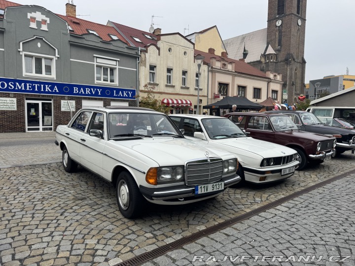 Mercedes-Benz 200 w123 1982
