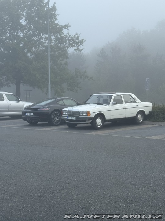 Mercedes-Benz Ostatní modely Mercedes benz w123 200 1982