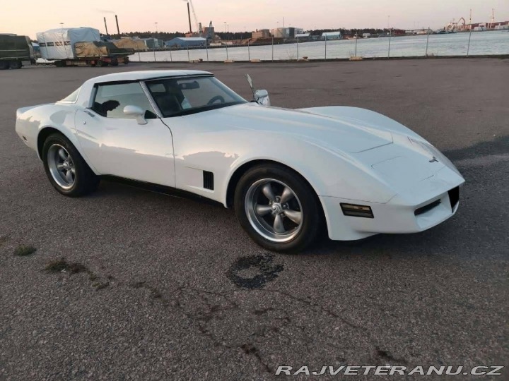 Chevrolet Corvette 1981