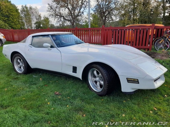 Chevrolet Corvette 1981