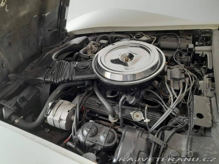 Chevrolet Corvette 1981