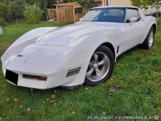 Chevrolet Corvette 1981
