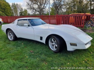 Chevrolet Corvette 1981