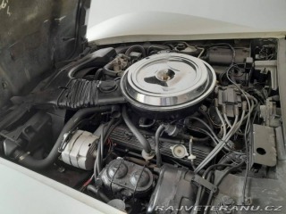Chevrolet Corvette 1981