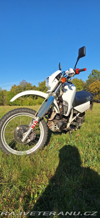 Honda XL XL600 RM (PD04) 1989