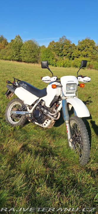 Honda XL XL600 RM (PD04) 1989
