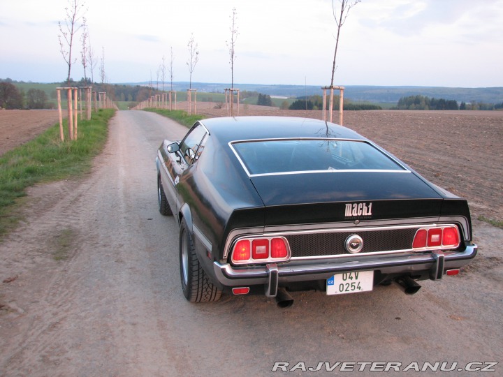 Ford Mustang Mach1 Fastback Cobra Jet 1973