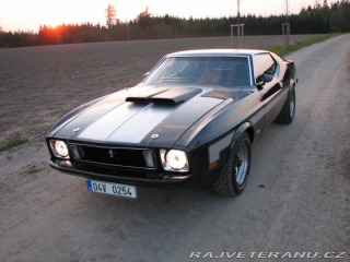 Ford Mustang Mach1 Fastback Cobra Jet 1973