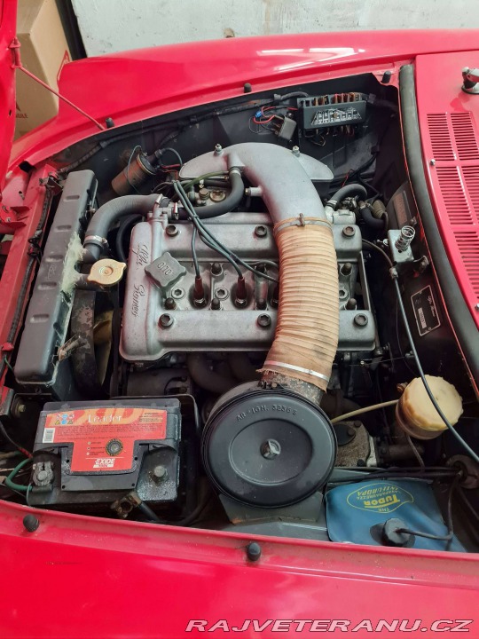 Alfa Romeo Spider Duetto Osso di Seppia 1969
