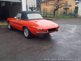 Alfa Romeo Spider Duetto Osso di Seppia 1969