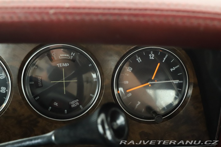 Ford Thunderbird Thunderbird VIII Box Bird 1979