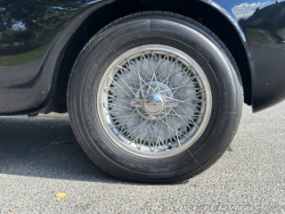 Alfa Romeo 1900 CSS 1954