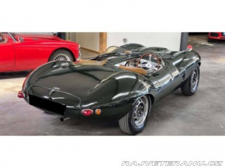 Jaguar D-Type replika 1960