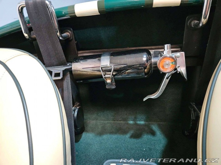 Cobra Ostatní modely Hawk Cobra Cobra 289, V8 3,5 1971